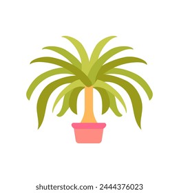 Ponytail Palm icon in vector. Logotype