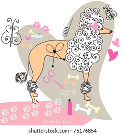 Poodle