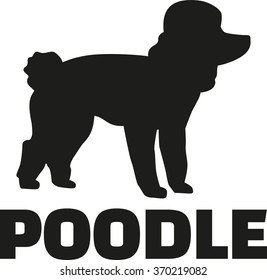 Poodle with breed name