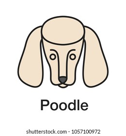 Poodle color icon. Isolated vector illustration