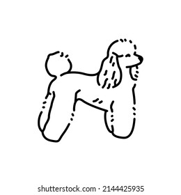 Poodle color line icon. Dog breed. Pictogram for web page, mobile app, promo.