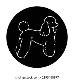 Poodle color line icon. Dog breed. Pictogram for web page, mobile app, promo.