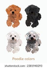 Poodle Farben Rasse, Hundezeichnung. Rutsche Hundefiguren in einem Streichhund, Designs für Drucke, adorable und süße Poodle Cartoon Vektorset, in verschiedenen Posen. Flat Cartoon Stil Alle Poodle Farben.