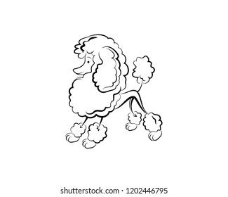 Poodle cute dog vector illustration for a Coloring Book or logo for grooming business 