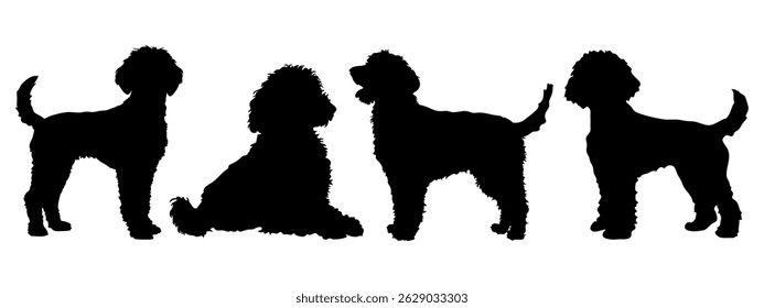 Poodle in different poses. Dog breed silhouette