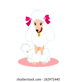 Poodle Dog 