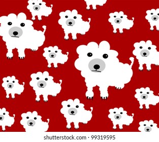 poodle dog background design wallpaper