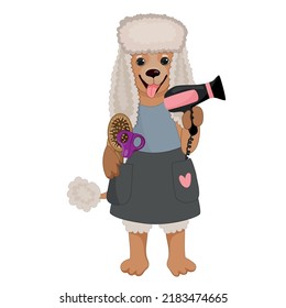 a poodle dog in barber's clothes holds a hair dryer, comb and scissors