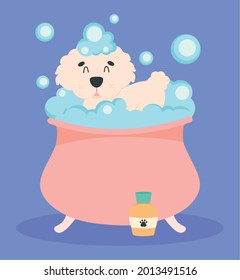 poodle dog bath illustration design