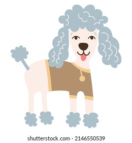 Poodle Dog Breed on isolated background. Vector illustration.