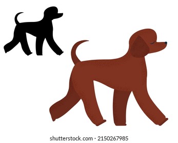 Poodle Hund züchtet laufen. Beliebtes Haustier mit lockerer Haare. Braun Pudel Design in buntem Cartoon-Stil und Umriss Silhouette.