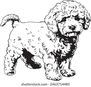 poodle dog breeds vector silhouette 