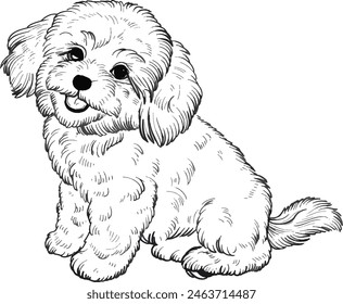 poodle dog breeds vector silhouette 