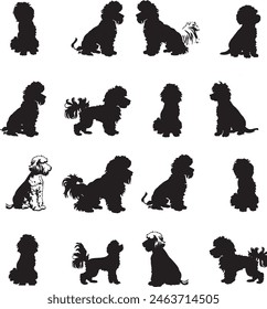 poodle dog breeds vector silhouette 