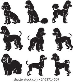 poodle dog breeds vector silhouette 