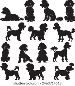 poodle dog breeds vector silhouette 