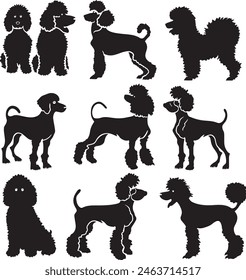 poodle dog breeds vector silhouette 