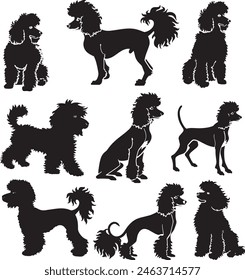  poodle dog breeds vector silhouette