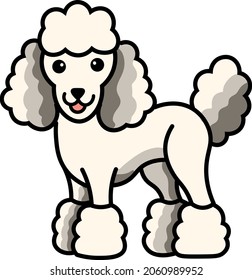 Poodle dog, cute vector animal illustration isolated on white background. Concept for logo, cards, print
