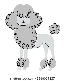 poodle dog design vector isolated