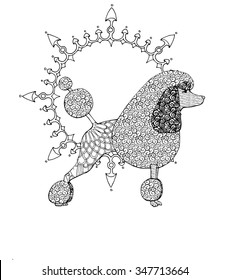 Poodle dog  doodle vector design for adult colouring book