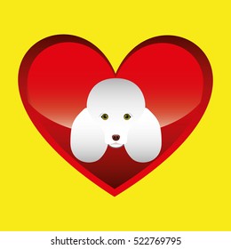 poodle dog face design icon vector illustration eps 10