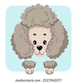 Poodle dog face flat vector illustrtion. Poodle dog icon