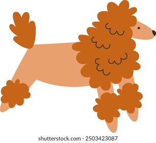 Poodle Dog Hand Drawn Vector Illustration