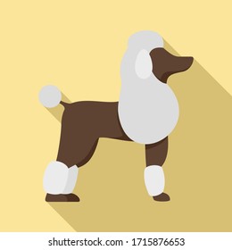 Poodle dog icon. Flat illustration of poodle dog vector icon for web design