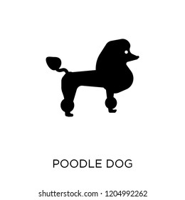 Poodle dog icon. Poodle dog symbol design from Dogs collection. Simple element vector illustration on white background.