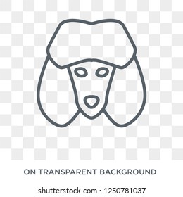 Poodle dog icon. Trendy flat vector Poodle dog icon on transparent background from dogs collection. High quality filled Poodle dog symbol use for web and mobile