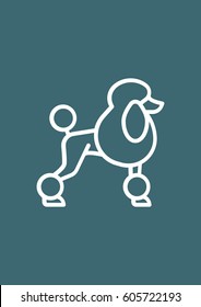 Poodle dog icon, Vector