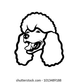 Poodle dog - isolated outlined vector illustration