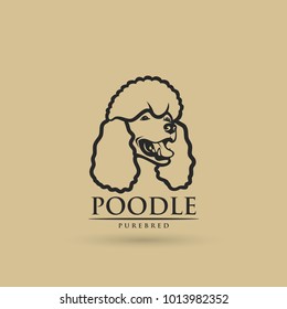 Poodle dog - isolated outlined vector illustration