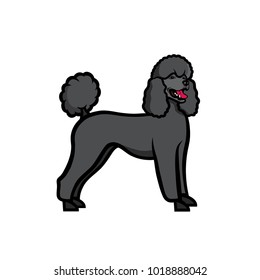 Black-poodle Images, Stock Photos & Vectors | Shutterstock