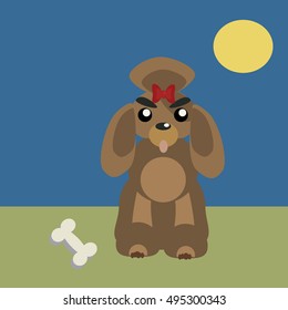 Poodle dog pet vector dog vector. Flat dog domestic animal vector illustration. Dog breed isolated from background