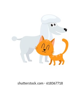 poodle dog dog and red cat, kitten characters, pets, friendship concept, cartoon vector illustration isolated on white background. poodle dog dog and red cat characters, friends