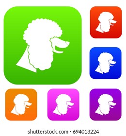 Poodle dog set icon in different colors isolated vector illustration. Premium collection