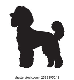 Poodle dog side view standing pose silhouette vector illustration