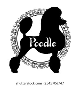 Poodle dog silhouette, dog, dog breeds,  vector, silhouette, logo design, animal, illustration, icon, sign, black, pet