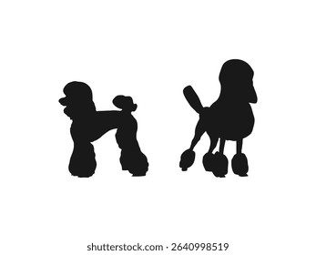 Poodle Dog silhouette icon. Silhouette icon isolated on a white background.