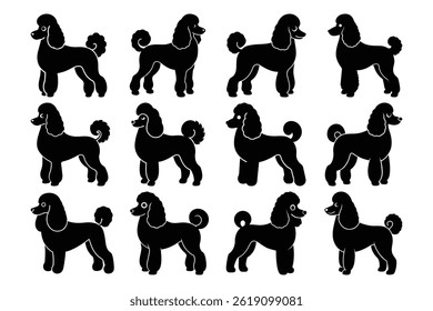 Poodle Dog Silhouette Set Bundle Collection Group Of Graphic Elements