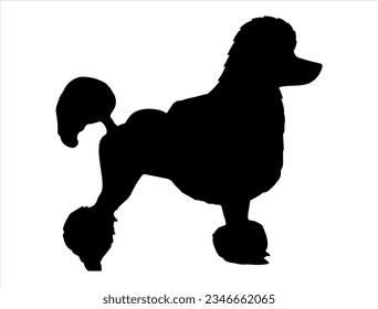 Poodle dog silhouette vector art pet animal