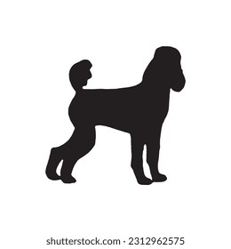 Poodle dog silhouette vector illustration