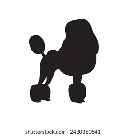 poodle dog silhouette vector image