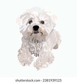 Poodle dog in a sitting pose. Cute laying pose logo design, popular white color, breed pet character postcard art. Funny dog mascot. Detailed illustration. White, silver, grey color. Cartoon style.