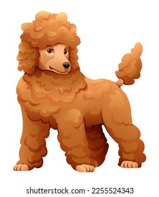 Poodle dog vector cartoon illustration