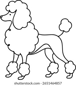 Poodle Dog Vetor - Cute Poodie Pet Clipart para Cricut, Adesivos, Vestuário de Animais de Estimação e Temas de Cuidados