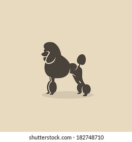 Poodle dog - vector illustration