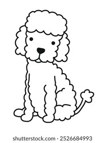 Poodle dog vector line drawing illustration